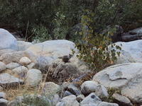 DSC00643